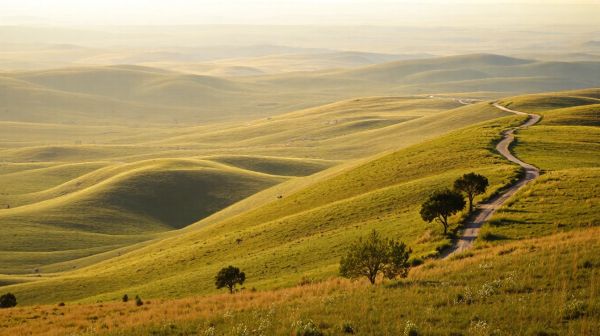 Top terrains à saisir en Ille-et-Vilaine pour investir